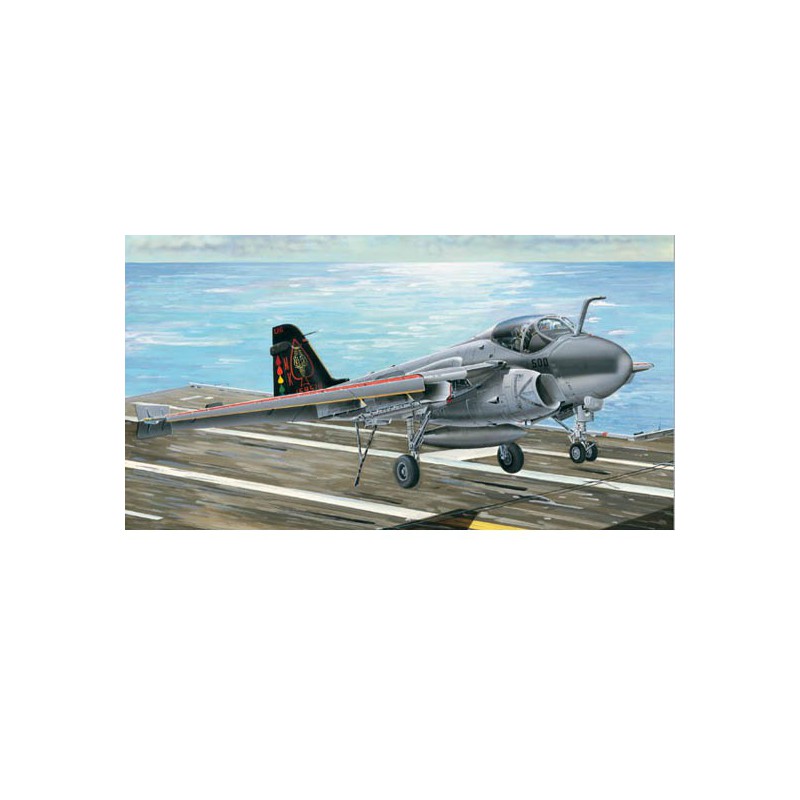 A-6E Plastikflugzeugmodell "Eindringling" | Scientific-MHD