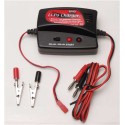 Lade -Ladegerät für radio -kontrollierte Lipo -Ladegerät 2 Earts 12 Volt Ladegerät | Scientific-MHD Lade -Ladegerät für radio -kontrollierte Lipo -Ladegerät 2 Earts 12 Volt Ladegerät | Scientific-MHD