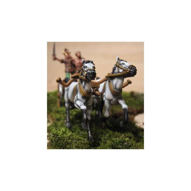 Keltische Wagenfigur 1/72 | Scientific-MHD