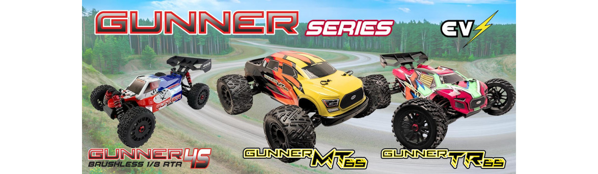 Elektro- oder Verbrennungsfernsteuerungswagen